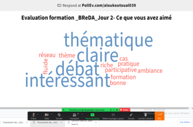 Accompagnement des PMEs exerçant dans le secteur agroalimentaire et exclusiement dirigées par des femmes dans la commune de Parakou à travers le E-loop